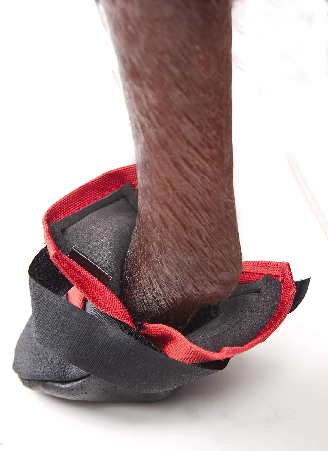 Rugged Dog Boots and Paw Protectors for Small, Medium and Large Dogs Red (Size 6)