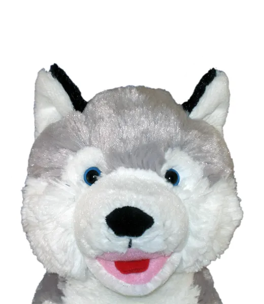Snowshoe Husky Bear Kit
