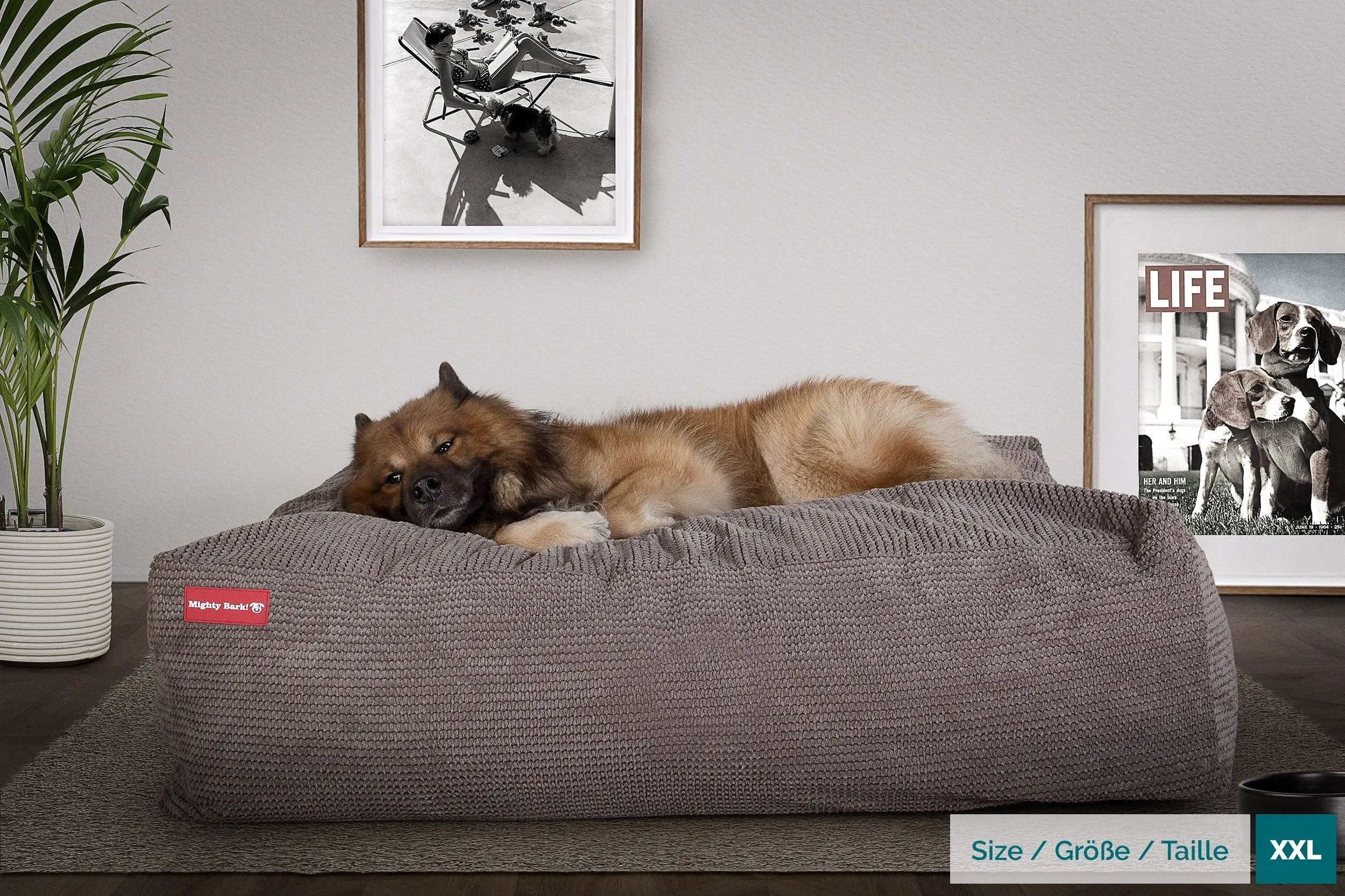 The Crash Pad  - Memory Foam Dog Bed - Pom Pom Charcoal Grey