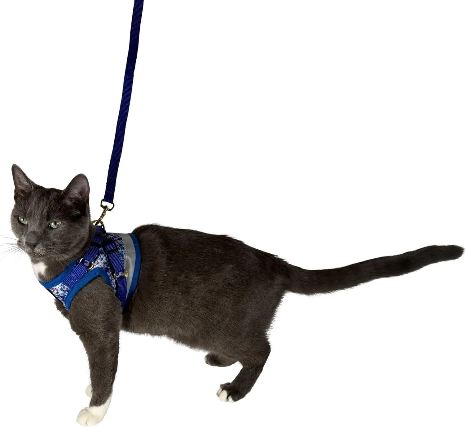Travel Cat Harness and Leash Set - Adjustable Fit Mesh Cat Harness and Reflective Strap - Comfort Walking Vest for Kitten for Outdoor Walking, Hiking (Small, Groovy)
