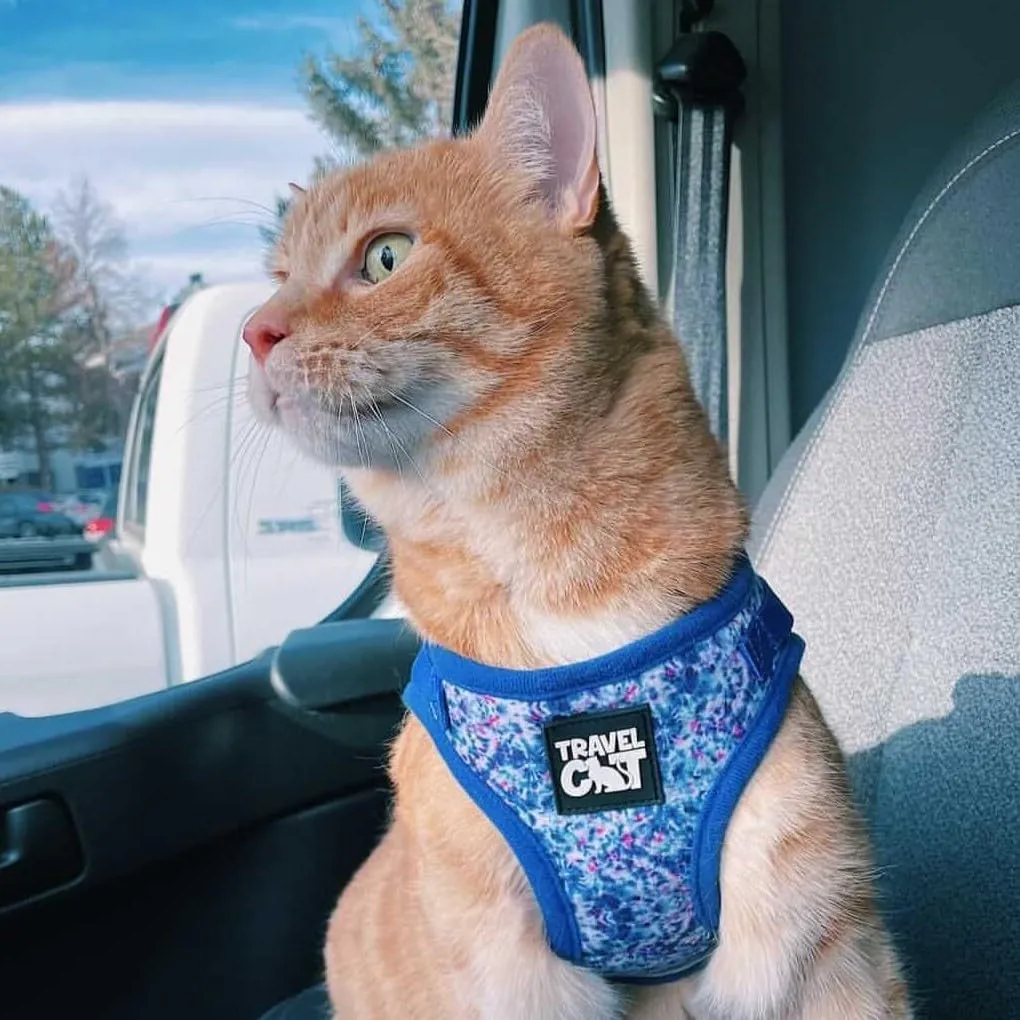 Travel Cat Harness and Leash Set - Adjustable Fit Mesh Cat Harness and Reflective Strap - Comfort Walking Vest for Kitten for Outdoor Walking, Hiking (Small, Groovy)