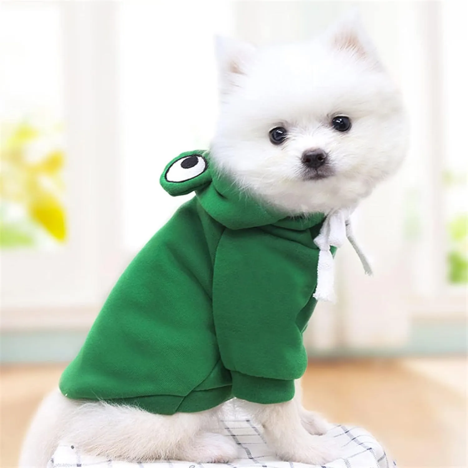 Warm Dog Winter Clothes Cute Fruit Dog Coat Hoodies Fleece Pet Dogs Costume Jacket for French Bulldog Chihuahua Ropa para Perro(Green,XXL)