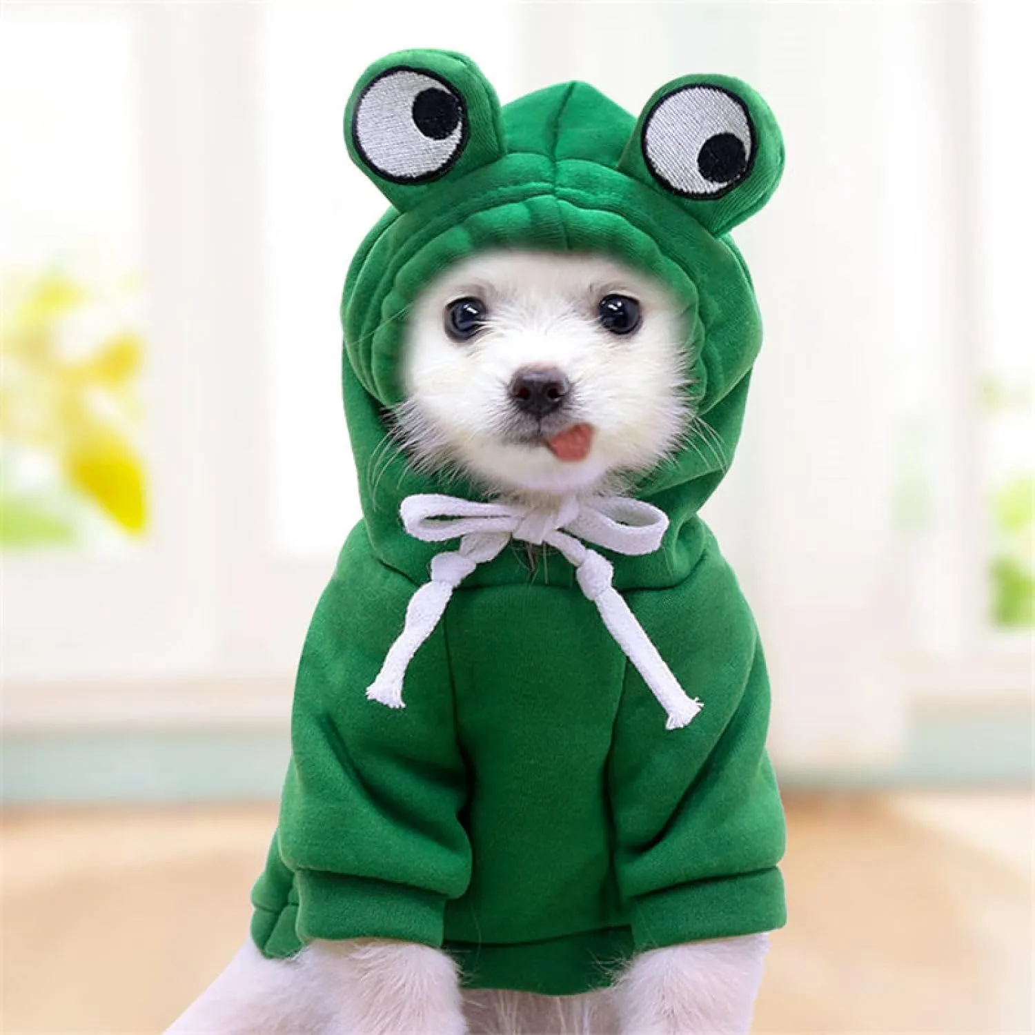 Warm Dog Winter Clothes Cute Fruit Dog Coat Hoodies Fleece Pet Dogs Costume Jacket for French Bulldog Chihuahua Ropa para Perro(Green,XXL)