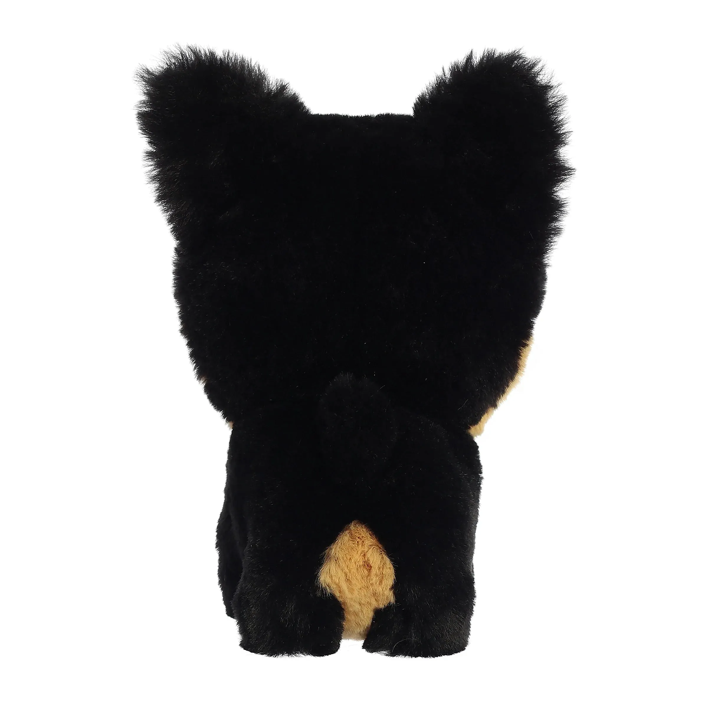 Yorkie Teddy Pet